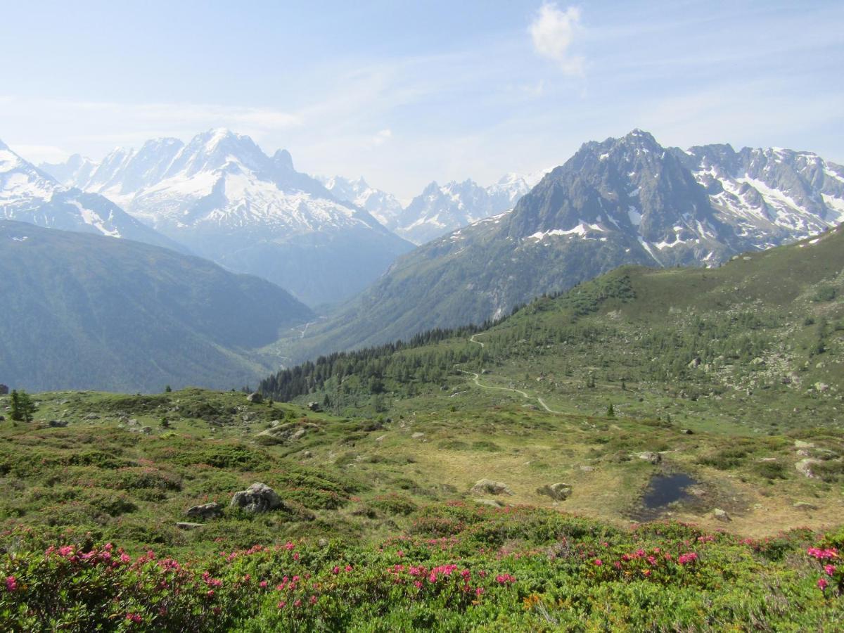 Les Grands Montets Hotel Chamonix